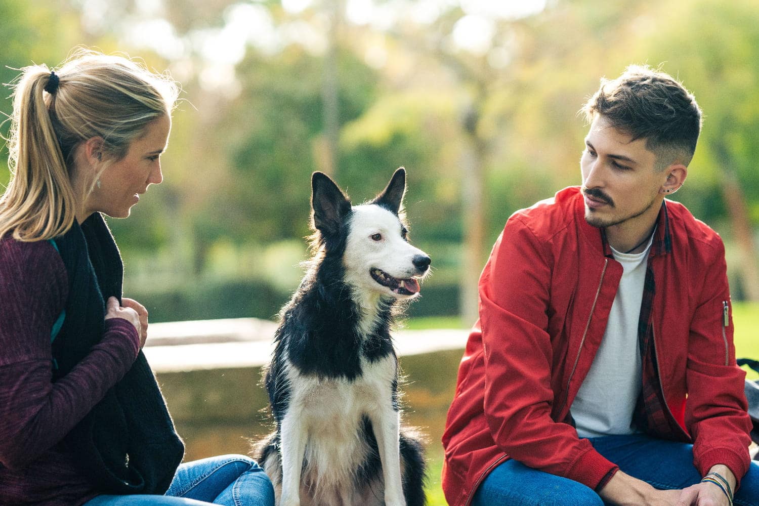 Que devient un animal de compagnie en cas de séparation ? Voici ce que dit la loi