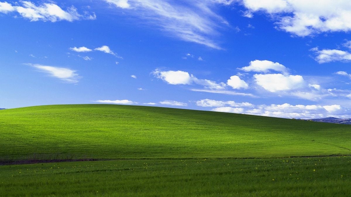 The view of the world
